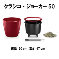 楽天市場】レチューザ 50 クラシコの通販