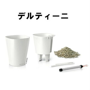 ŁA킢AhCc̃vXeBbN̐Aؔy`[UEfeB[jz