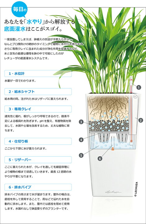 楽天市場】ドイツ製四角縦長・スタイリッシュなデザインが人気の大型 
