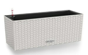 hCcȉAؔ@AOłgʋ^yʃv^[@y`[UEoRl50zԖږ͗lo܂B