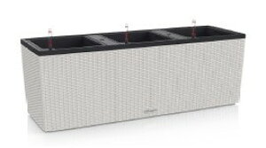 ݖږ͗lAhCcÂ^̃v^[y`[UERe[WEgI30zCi[iĵŁAϗtA̐Aւɕ֗łB