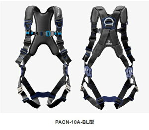 tn[lX VKiΉ ^C^ PACN|10A|BL|M^ TCYM ubN PANGEA