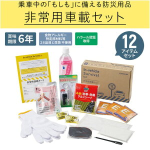 �L���O�W�� ���p�ԍڃZ�b�g SYS-200 �Ԃ̈ړ����ɂ�����ЊQ�΍��