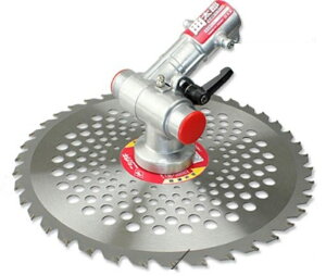 jVKL @pA^b`g N|798 ȑY(܂낤jpxAR `bv\[1t 莝̉@Ɏt邾