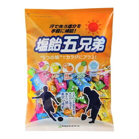 2026年最新入荷 ランドアート 塩飴五兄弟 800g 袋入り （約200粒）塩分補給 塩飴 塩アメ 塩あめ 熱中症対策 塩飴5兄弟 塩飴5兄弟 塩タブレット