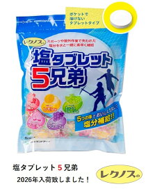 2026年最新入荷 熱中症対策 ランドアート 塩タブレット5兄弟 500g袋入 約185粒 塩分補給 塩飴 塩アメ 塩あめ]
