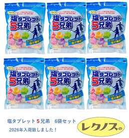 2026最新入荷 熱中症対策 6袋まとめ買い ランドアート 塩タブレット5兄弟 500g×6袋入 約1110粒 塩飴 塩あめ 塩タブレット5兄弟 塩アメ 塩分補給