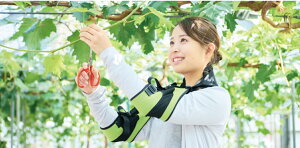 アシストスーツ 腕サポート ダーウィンアゲレルデ DARWING Agerelude 果樹農家の収穫時の作業負担の軽減