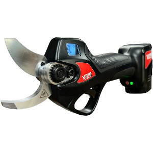 Vine P32ex doT~ R[hXd ʎ _  _ ʕ a