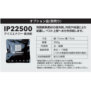 󒲕 ACXGiW[ۗ IP22500 jp s