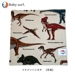 _ N[|ő3,000~OFFsI XIWi ^ nJ` 100% 4dK[[  IbNXñCPnJ` Baby surf bxCr[T[t ` 19cm×19cm Oe[vt w j