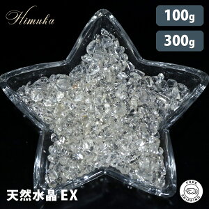 _ 򉻃ObY ^ VR EXO[h 򉻗p  VR p[Xg[ 100g 300g uWY NX^  