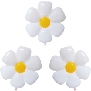 Motto Collection 10_Zbg D o[ A~D  t[ fCW[ qiMN 45×50cm a o[Xf[  EFfBO p[eB[ Cxg NX}X YN w Ղ