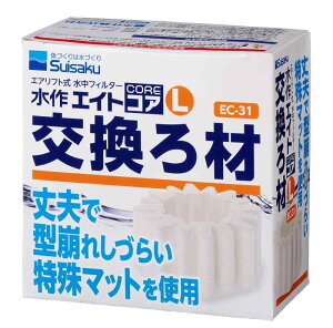 ���� �G�C�g�R�A L �������