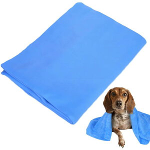 XC^I 43x32cm Z[^I Lq[gpbh  RpNg ̂ӂ  _炩 y ϋv z \   @ ʏ ėp\ (u[j