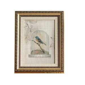 siawadeky �t�H�g�t���[�� �A���e�B�[�N�� A4�� �ʐ^���� �ʐ^���� ������� �z�� �h�� ���h�~ �c���u�����p ���g�� ���B���e�[�W ��� �L�O�ʐ^ �f�B�X�v���C ���j�� �L�O�� �a���� �v���[���g