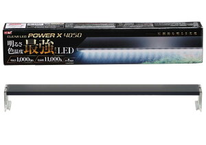 �W�F�b�N�X �N���A LED POWER X