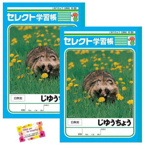 ���{�� �y�g���₷����ԃm�[�g�ł��z �w�K�� ���R�� �����n ���� ���G�`�� �V�[���\�� ���w�Z1�`6�N������ 30�� �y2�Z�b�g�z