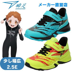 �u�� �j�̎q 2.5E �h�� ���L �V�����\�N ����񂻂� �W���j�A �X�j�[�J�[ JJ-207 �l�I���C�G���[ �G�������h�O���[�� 19cm�`25cm �L�b�Y�����j���O�V���[�Y WIDE �}�W�b�N�e�[�v �x���N�� ���L ULTIMA