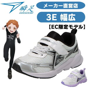 yEC胂f2ezu j̎q ̎q 3E  ʋCEՌzE˔3EChV[Y V\N 񂻂 WjA Xj[J[ JJ-170 /p[v /Vo[ 16cm`25
