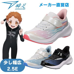 u ̎q 2.5E L V\N 񂻂 WjA Xj[J[ LJ-839  }` TbNX 16cm`25cm LbYjOV[Y ^C WIDE }WbNe[v xN L WING SLIDER