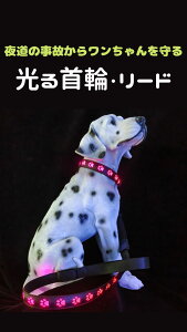 Acid yZbgz + [h U Cg  ybg [d 邢 y R ^ ^ ^ TCY߉\