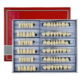 WINDI 入れ歯ケア 168個/セット 歯科用アクリル 樹脂 義歯キット ハロウィンホラーの小道具 ホワイト義歯23 A3 アップ&ダウン歯科