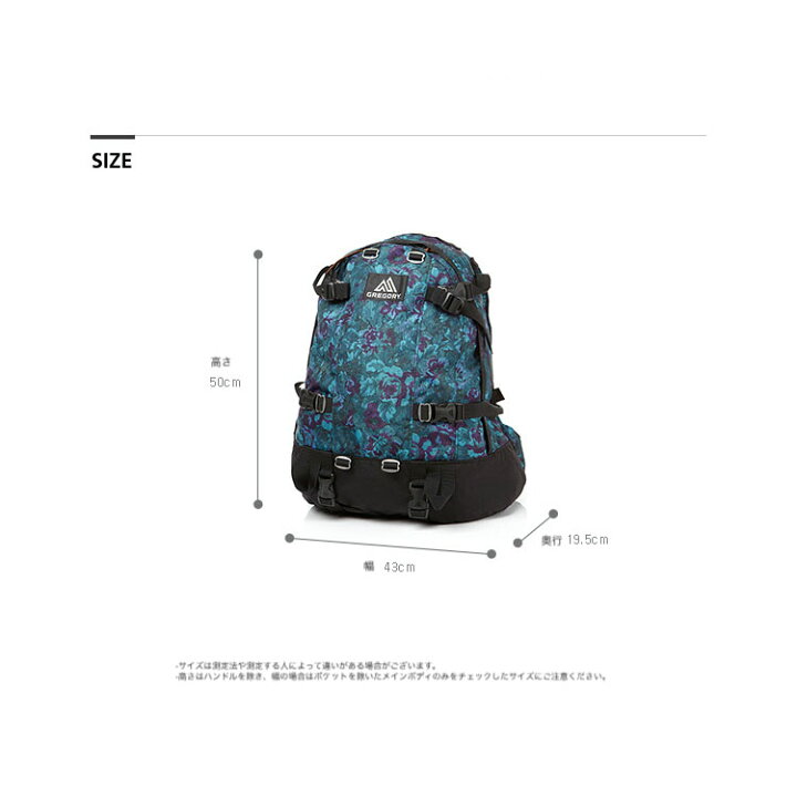 楽天市場】GREGORY グレゴリー バッグパック DAY AND A HALF PACK デイ 