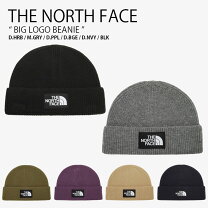 楽天市場】the north face purple label（カラーネイビー）（ニット帽 