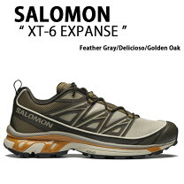 楽天市場】salomon xt-6の通販