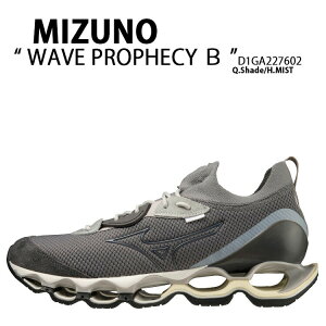 Mizuno ~Ym Xj[J[ WAVE PROPHECY  D1GA227602 EG[uvtFV[ x[^ GREY OFF WHITE O[ ItzCg V[Y jOV[Y WMOXj[J[ Y jp