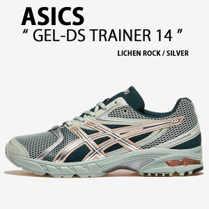 ASICS AVbNX Xj[J[ GEL-DS TRAINER 14 1203A607-300 LICHEN ROCK SILVER V[Y QfB[GX g[i[ CPbN Vo[ Y fB[X