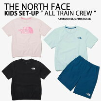 楽天市場】ノースフェイス tシャツ（キッズサイズ（cm）150 ～ 159cm  