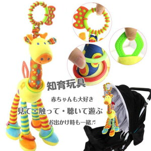 xr[  L Ԃ牺 xr[ߋ nMOgC ԓ xr[J[gC oET[gC Ԃ ʂ  ǂԂ ł w^ eb\[ 0