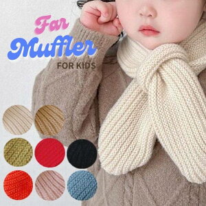 }t[ LbY q xr[ PF Vv  ȒP j̎q ̎q jp  h ۉ  킢  ӂӂ ݃J[ c t[TCY  w 1