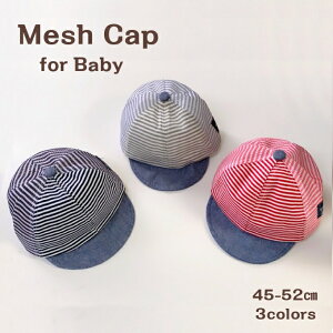 Xq xr[ LbY Lbv qpXq bV 45cm 6 51cm 1 12 UVPA Ă΍ ̎q j̎q t  H ~ O΍ ԕǑ΍ t   khb1-170