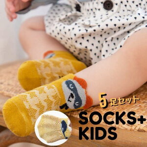 xr[ C qp \bNX LbY xr[\bNX V[g\bNX 5Zbg [֑ t  킢 j̎q ̎q Aj} q ۈ牀 ct v[g oYj bs-036