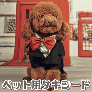 犬用ペット服 タキシードの人気商品 通販 価格比較 価格 Com