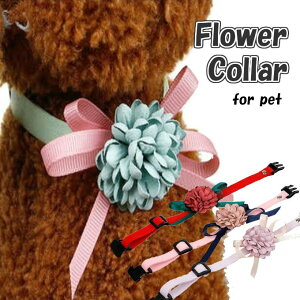 ybgpi   RT[W { EGA  ANZT[   ybgR[f s ʐ^Be  L  ybg ^ ^ [h U pw-026