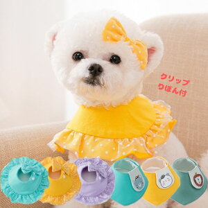 ˂  O|  [X `[J[ ݊ ybgEFA o[Xf[ RX`[ ybg RXv ^ ^ L   ʐ^Be a LO o 