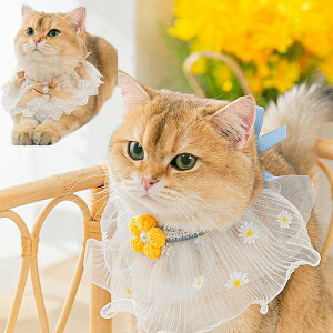 ˂  O|  [X `[J[ ݊ ybgEFA o[Xf[ RX`[ ybg RXv ^ ^ L  ʐ^Be a LO o s  