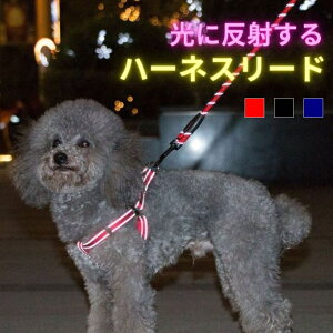  [h n[lX  3_Zbg  ^ ^ p \tgn[lX ȒP u[ ubN bh ł   [  pw-043