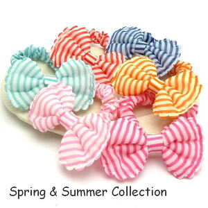 wAS { LbY xr[ q VV {[_[ wAANZT[ wAAW   Ǝ w ̓  I Iډ Ӊ PTA Cxg  킢