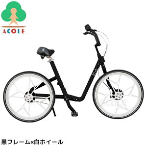 A~X eiXt[] Richrich XY-01 ALUMIS qlgK{ (SE)1590×611×987mm Th750`850mm 24C`×1.25m[pN^C 19kg