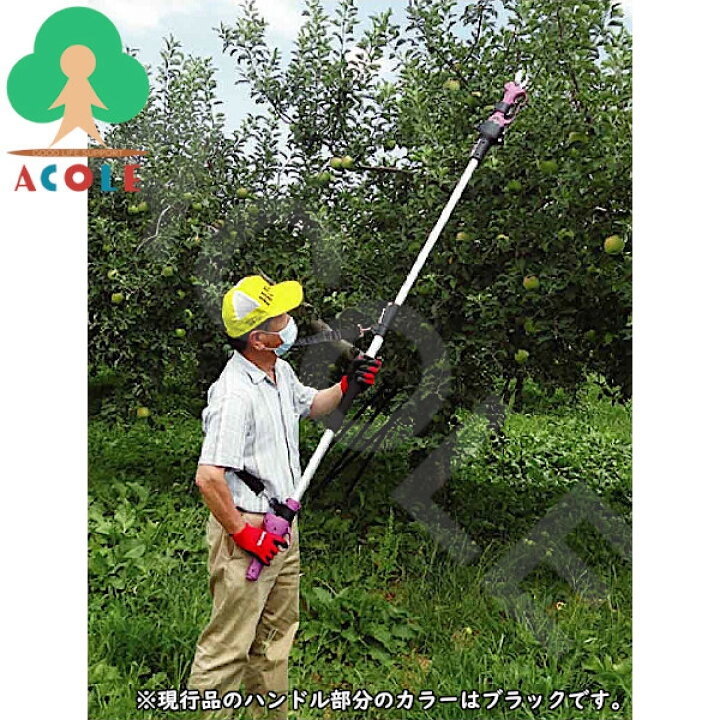 楽天市場】アルミス 枝切っ太郎延長ポール ASH-25MSE ALUMIS ASH-25M 