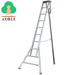 ylOKzA~X gA~|pA^Or 10 A-10 ALUMIS (SE)1200×1695×3030mm dʖ12kg qlg 3.0m 300cm g|Orr gOrr