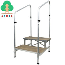 【在庫一掃】アルミス アルミフレーム人工木ステップ2段手すり付き ホワイト AHS-T2DW ALUMIS (約)幅650×奥630×高さ1160mm 重量約12.9kg 耐荷重約120kg お客様組立あり 踏み台 踏台 昇降ステップ 昇降踏台 昇降台