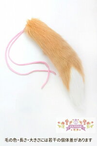 RXv ӂӂLcl  ObY CLASSE NbZyAjCgzy453z