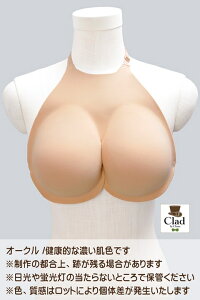 RXv ςNEOsister Cgx[W^CG[x[W^I[N  ObY CLASSE NbZyAjCgzy453z