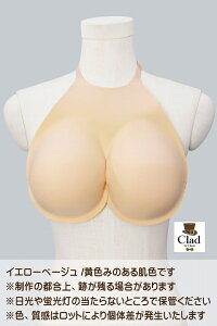 RXv ςNEOsister Cgx[W^CG[x[W^I[N  ObY CLASSE NbZyAjCgzy453z